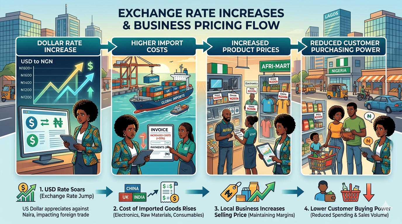 Illustration showing how dollar pricing affected Nigerian businesses and product costs